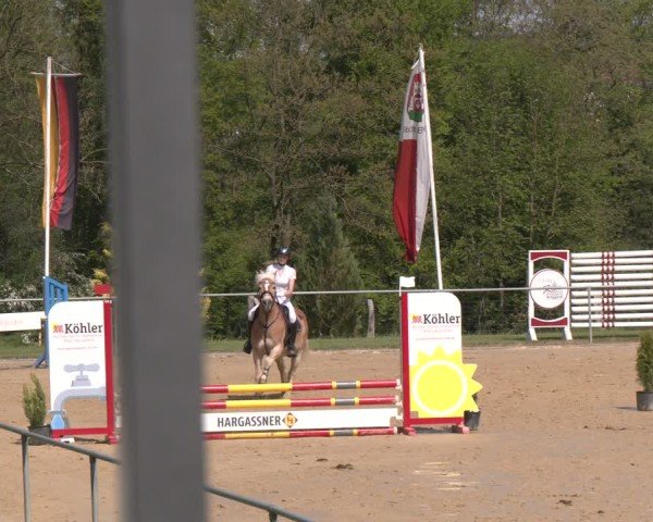 Reitturnier Büren 2025