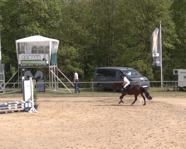 Reitturnier Büren 2025