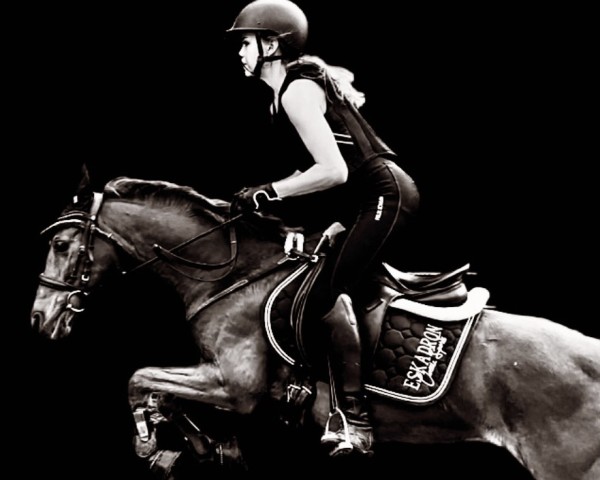 horse Zilke Smidhoeve's (Welsh Partbred, 2004, from Rietheim's Hilbert)