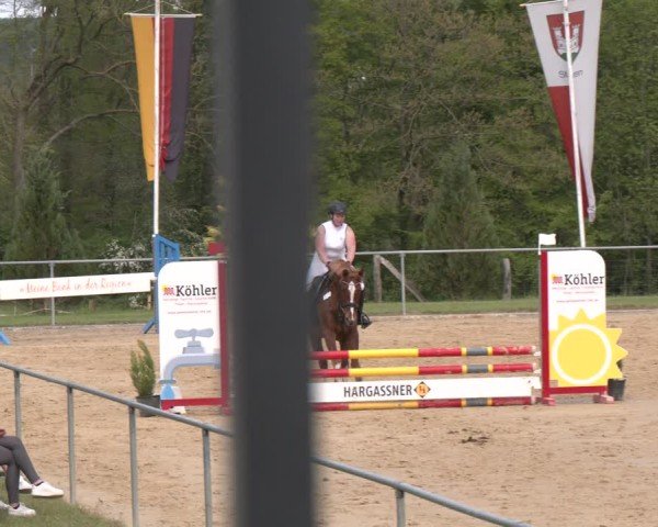 Reitturnier Büren 2025