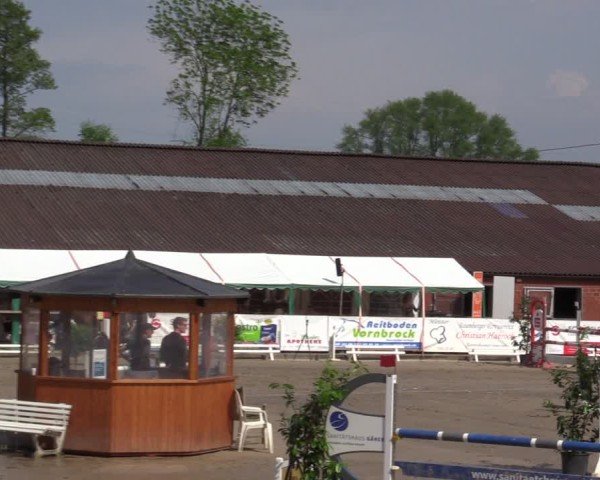Reitturnier Havixbeck 2025