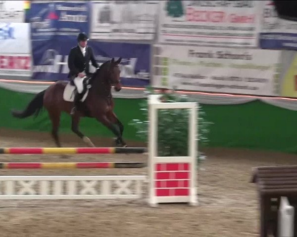 Keppelner Springpferdemeeting 2014