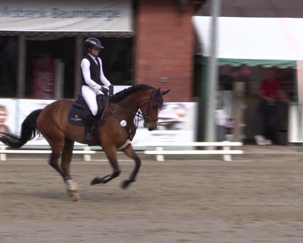 Reitturnier Havixbeck 2025
