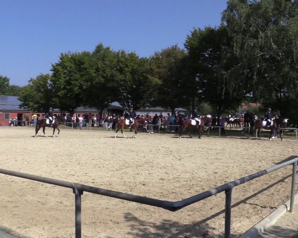 Reitturnier Ascheberg 2021