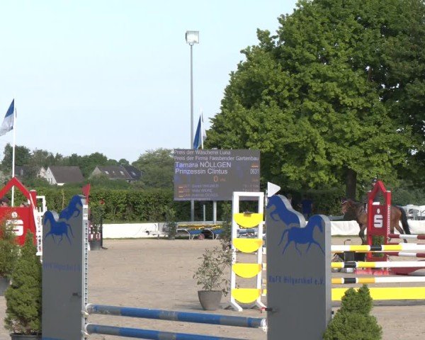 Reitturnier Neuss-Allerheiligen 2025