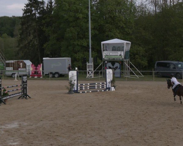 Reitturnier Büren 2025