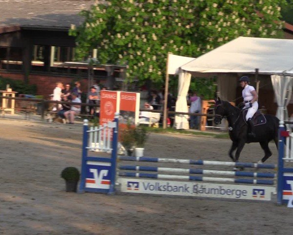Reitturnier Havixbeck 2025