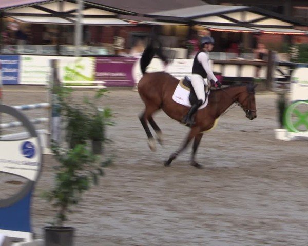 Reitturnier Havixbeck 2025