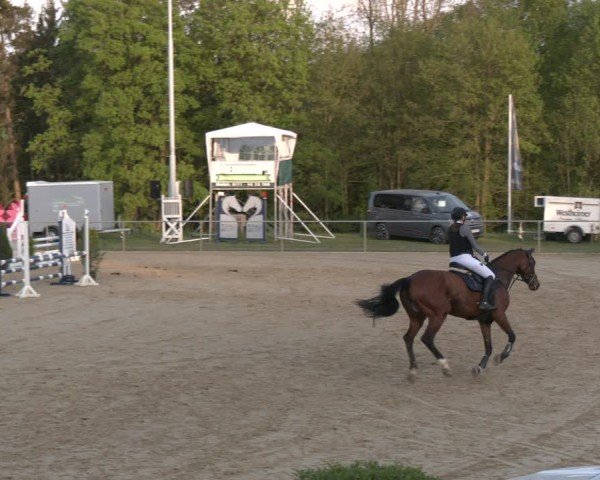 Reitturnier Büren 2025