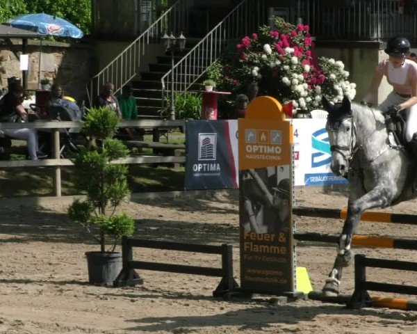 Reitturnier Hildesheim-Steuerwald 2025