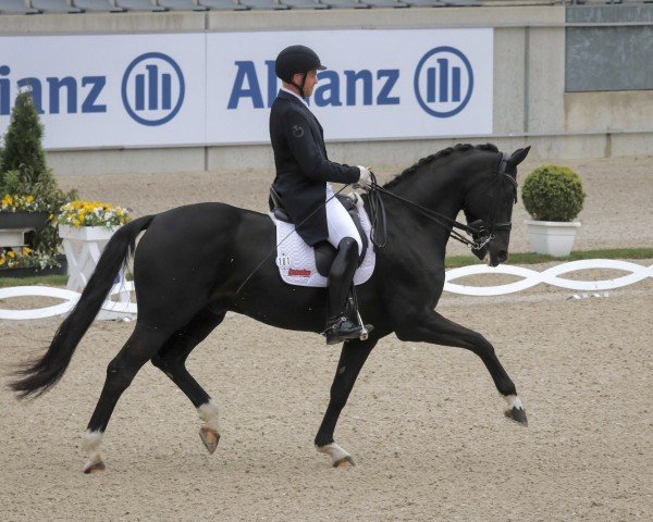 Maximilian Brune