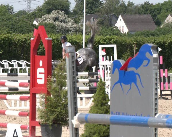 Reitturnier Neuss-Allerheiligen 2025