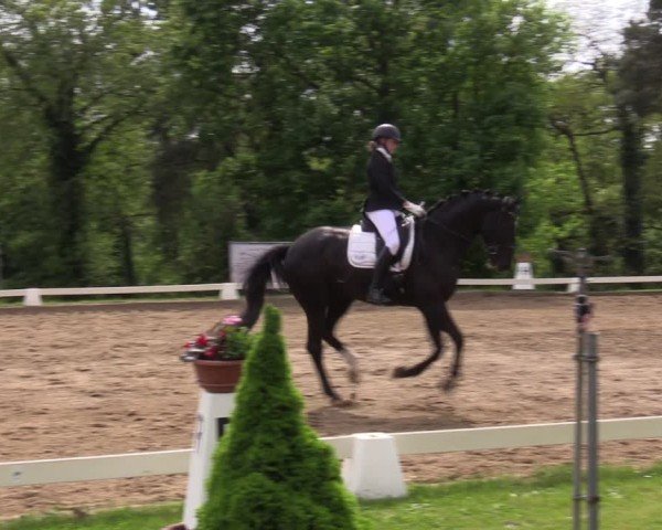 Reitturnier Teupitz 2025