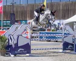 jumper Daiquiri 134 (Oldenburg show jumper, 2015, from Dakar VDL)