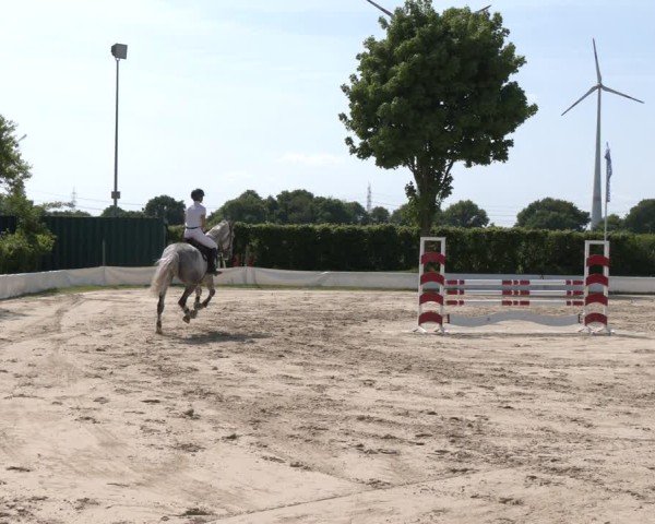 Reitturnier Neuss-Allerheiligen 2025