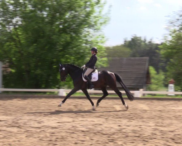 Reitturnier Teupitz 2025