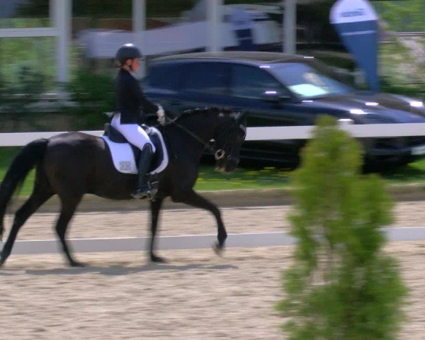 Reitturnier Fürstenwald 2025