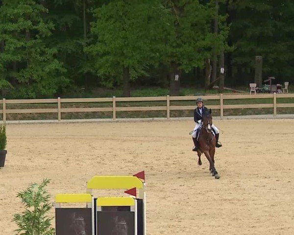 Reitturnier Tiefenhof/Opf. 2025