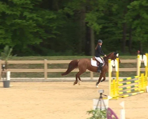 Reitturnier Tiefenhof/Opf. 2025