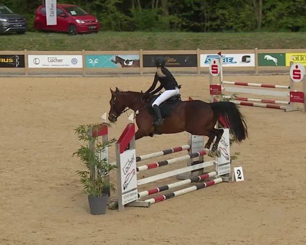 Reitturnier Tiefenhof/Opf. 2025