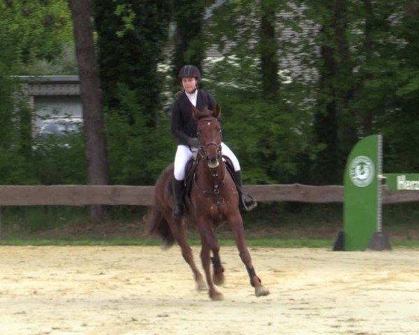 Reitturnier Wesel-Obrighoven 2025