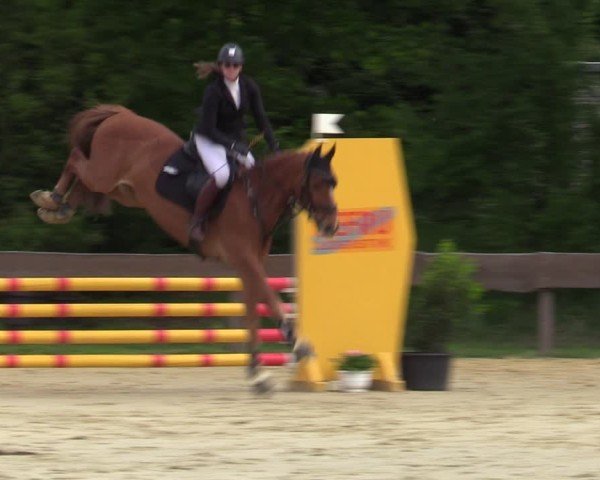 Reitturnier Wesel-Obrighoven 2025