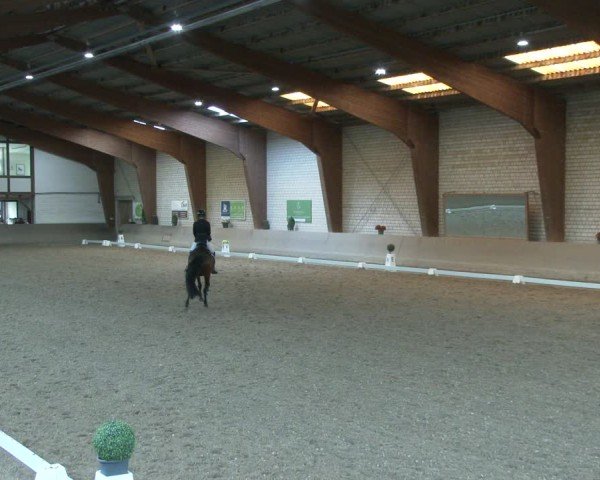 Reitturnier Kamen 2025