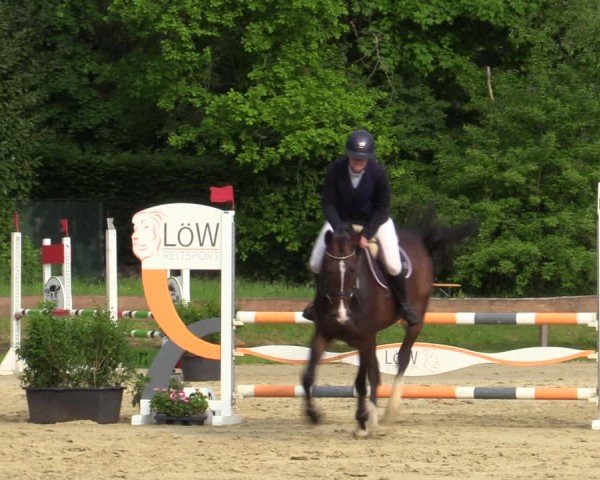 Reitturnier Wesel-Obrighoven 2025