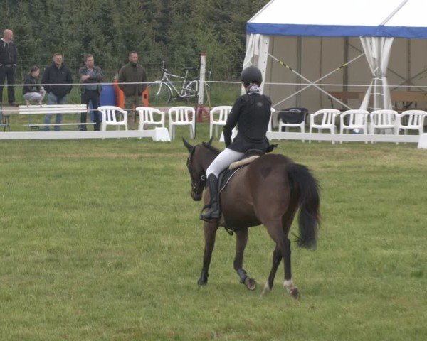 Reitturnier Wehnsdorf 2025