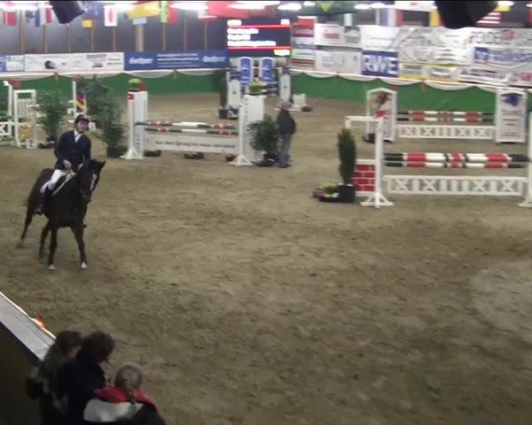 Keppelner Springpferdemeeting 2014