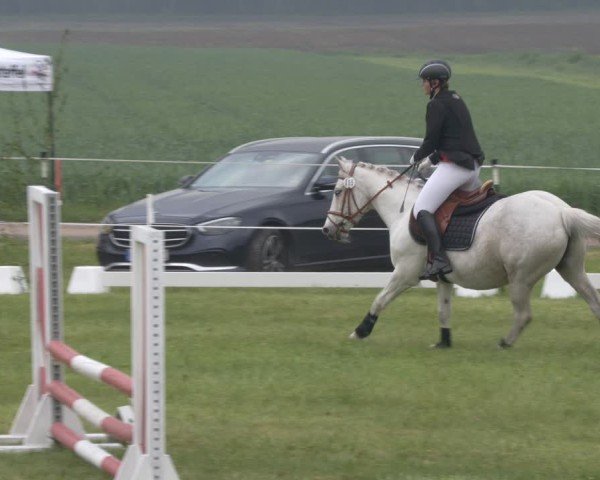 Reitturnier Wehnsdorf 2025