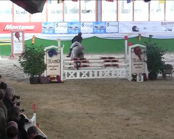 Keppelner Springpferdemeeting 2014
