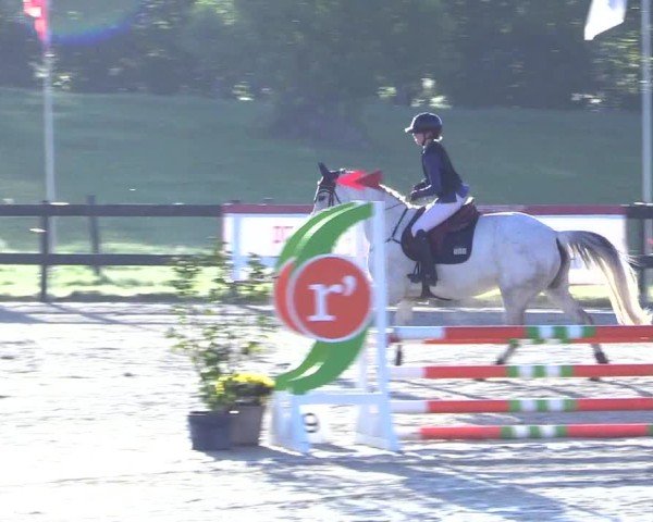 Reitturnier Looperholz 2025