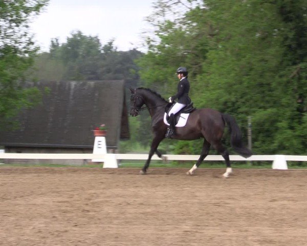 Reitturnier Teupitz 2025
