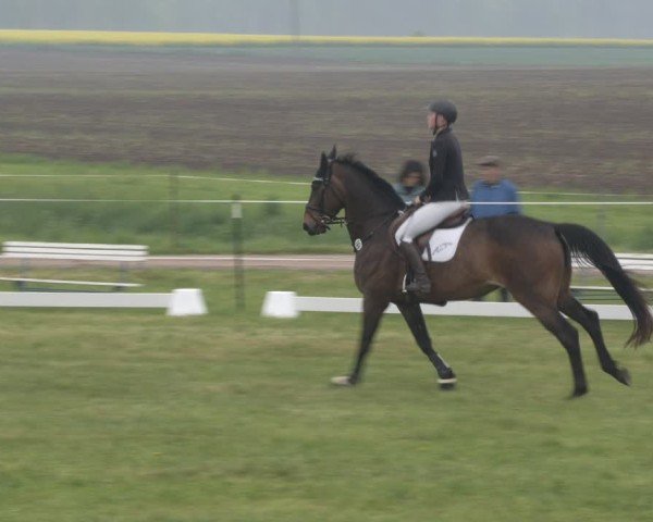 Reitturnier Wehnsdorf 2025
