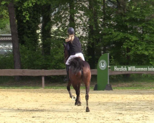 Reitturnier Wesel-Obrighoven 2025