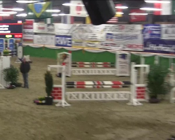 Keppelner Springpferdemeeting 2014