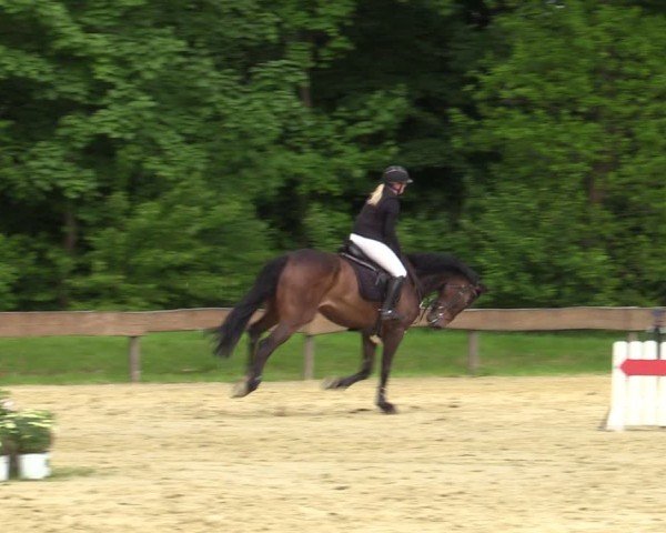 Reitturnier Wesel-Obrighoven 2025