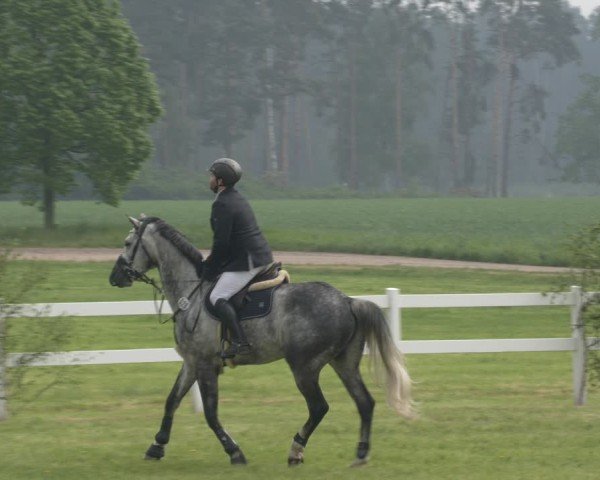 Reitturnier Wehnsdorf 2025