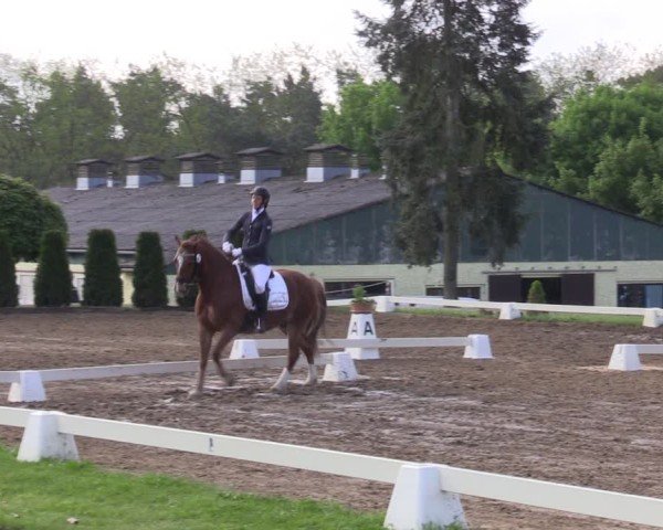 Reitturnier Teupitz 2025