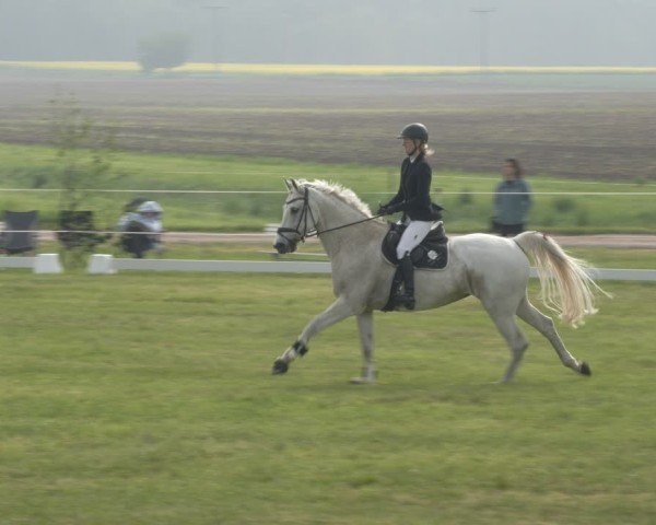 Reitturnier Wehnsdorf 2025