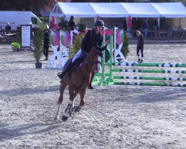 Reitturnier Looperholz 2025