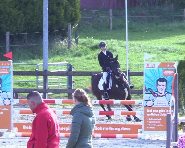 Reitturnier Looperholz 2025