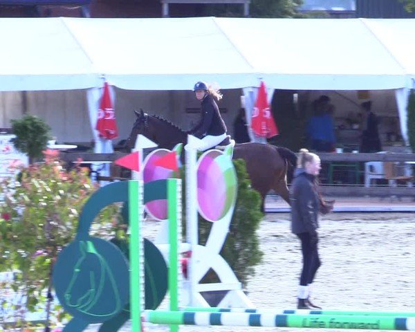 Reitturnier Looperholz 2025