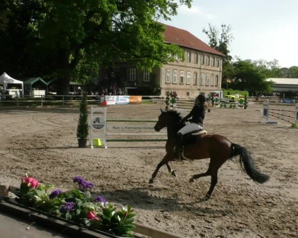 Reitturnier Hildesheim-Steuerwald 2025