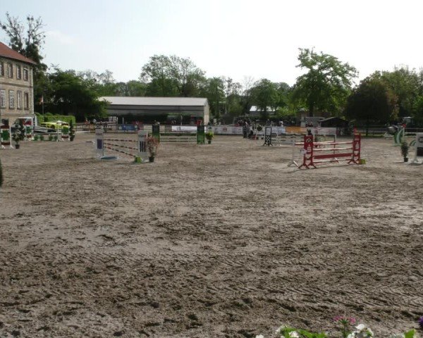 Reitturnier Hildesheim-Steuerwald 2025