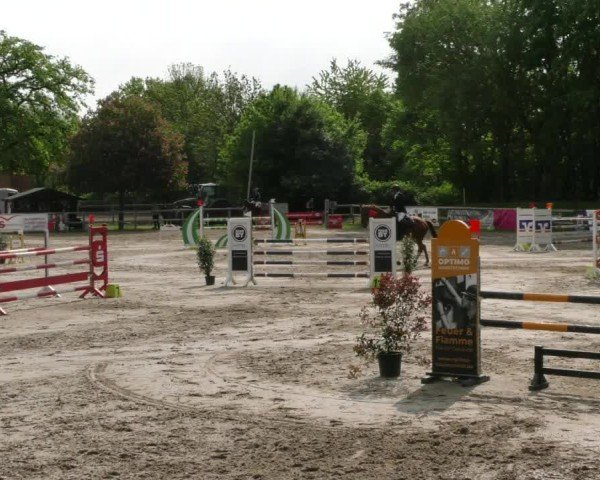 Reitturnier Hildesheim-Steuerwald 2025