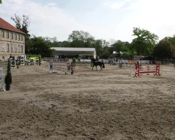 Reitturnier Hildesheim-Steuerwald 2025