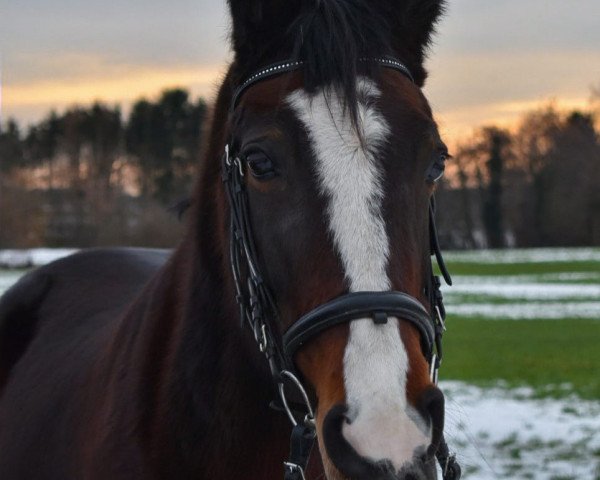 horse For Me (Westphalian, 2005, from For Keeps)