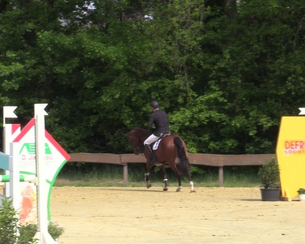 Reitturnier Wesel-Obrighoven 2025